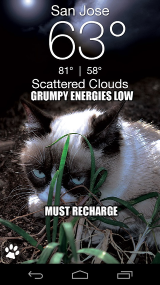 Illustration for article titled The Grumpy Cat Weather App Won't Sugar Coat Things For You